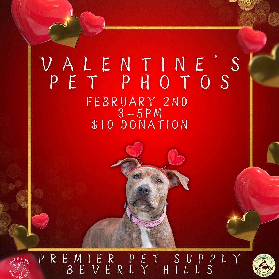 Valentine's Pet Photos W\/ Ruff Life Photography!