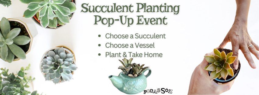 Succulent Planting Pop-Up Event