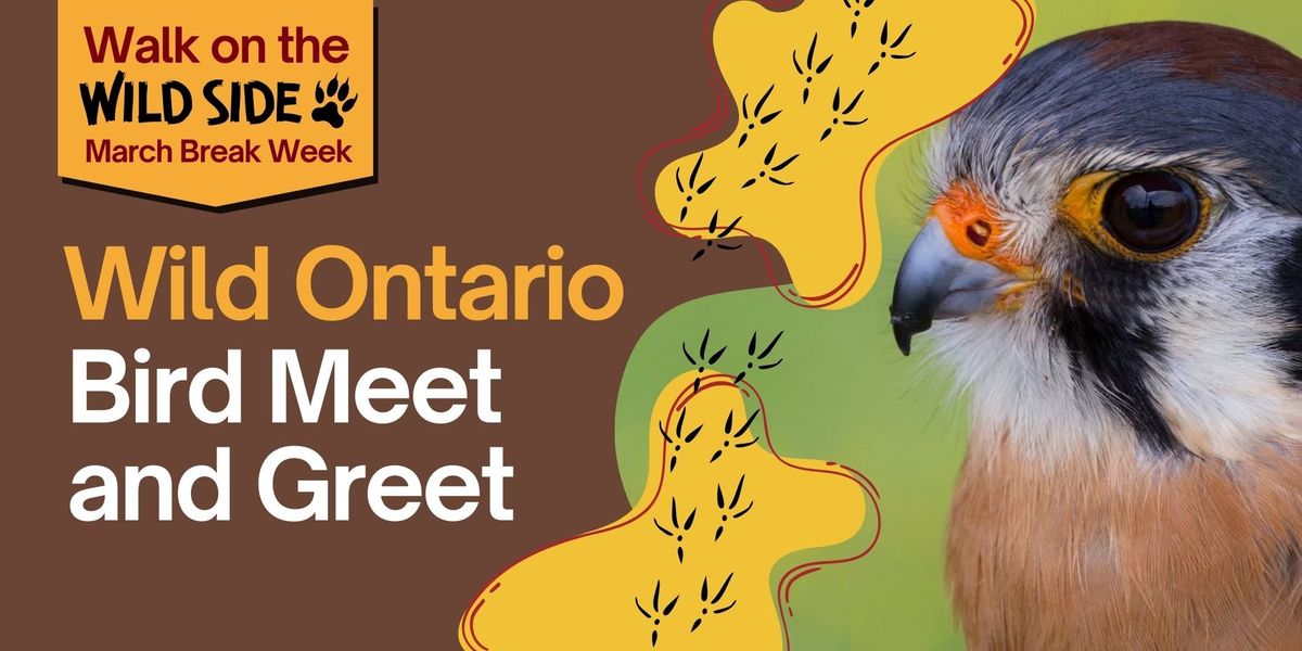 Walk on the Wildside - Wild Ontario Bird Meet and Greet