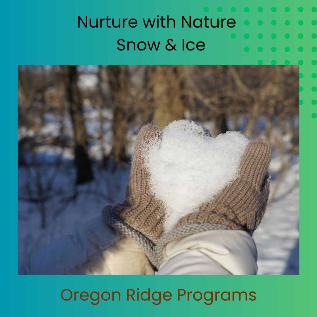 Nurture with Nature - Snow & Ice