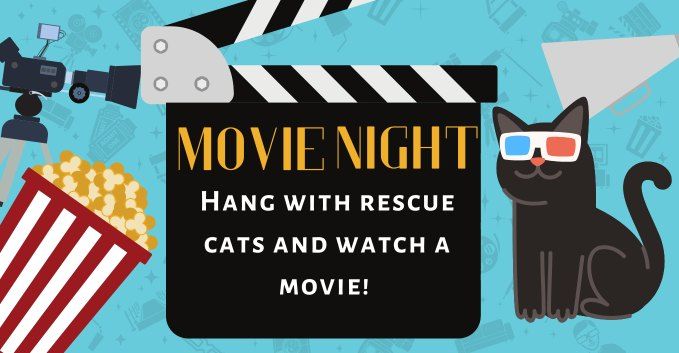 Movie Night with Cats 