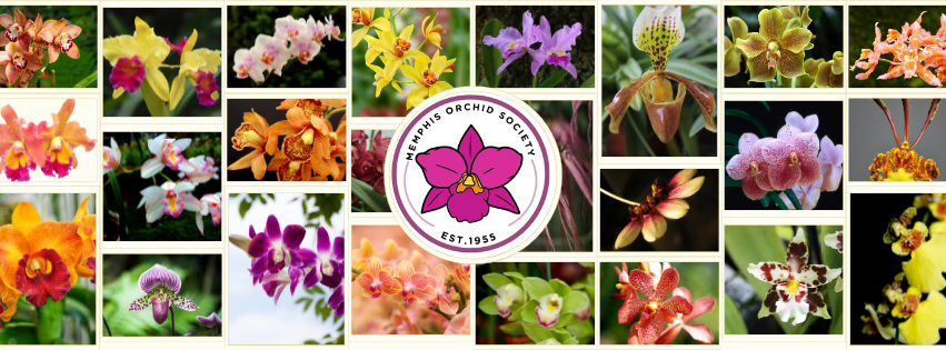 Memphis Orchid Society Annual Show & Sale