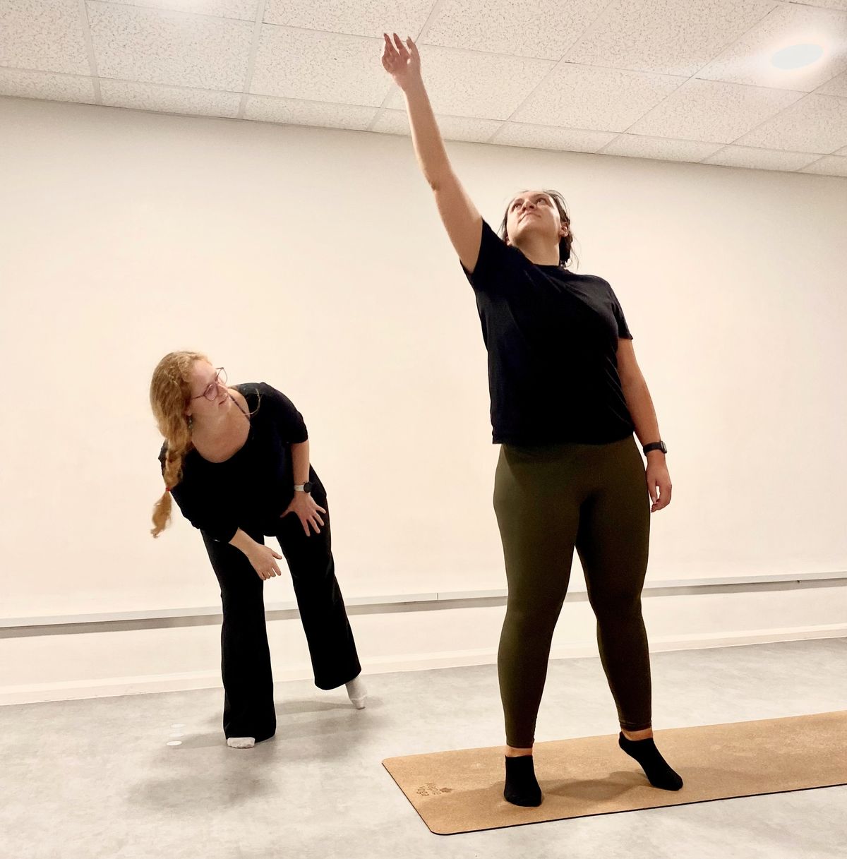 Postural Assessment Lab: Learn Static & Dynamic Postural Assessment to Improve your Teaching