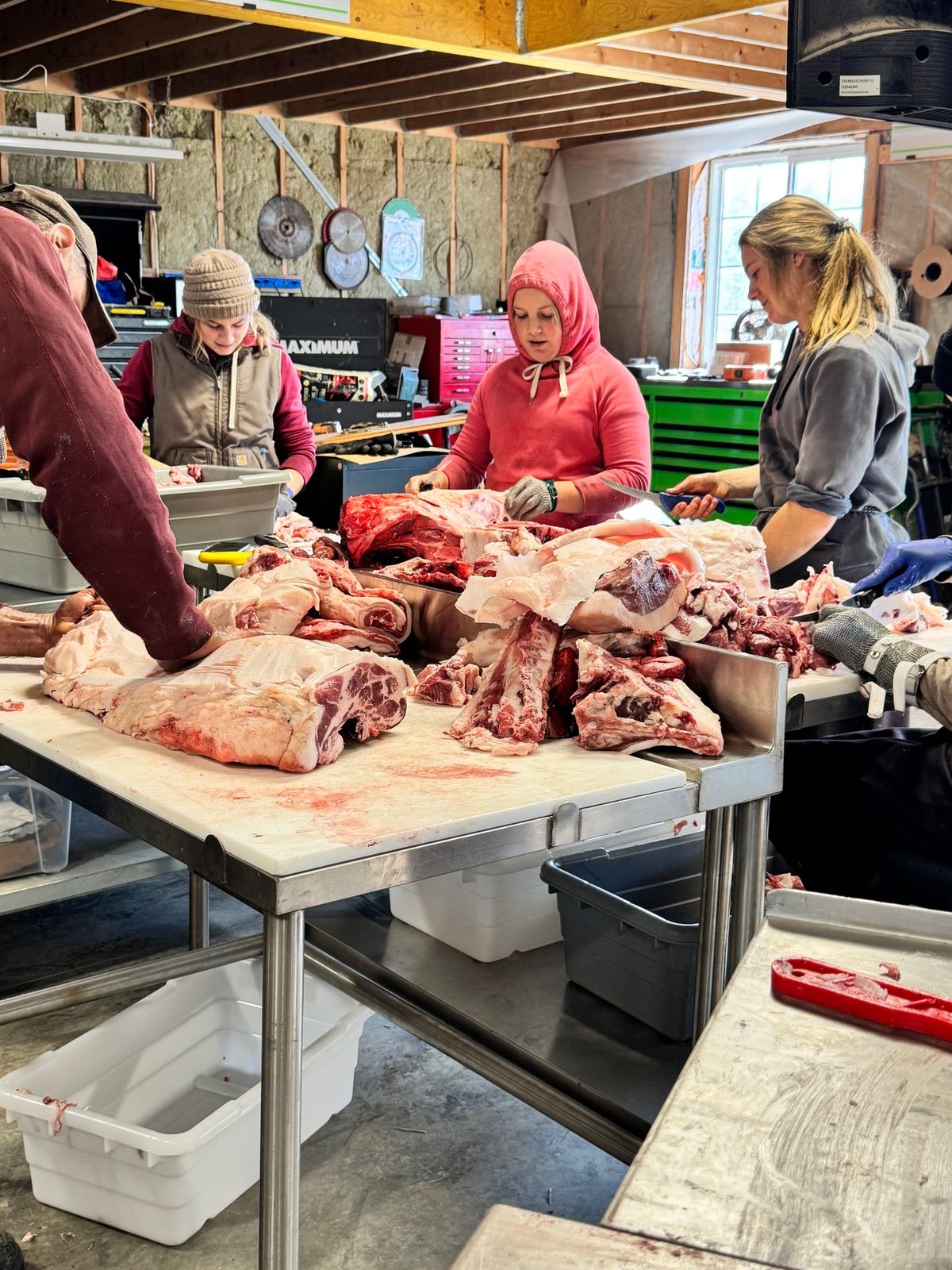 Homestead Harvest Workshop - Beef