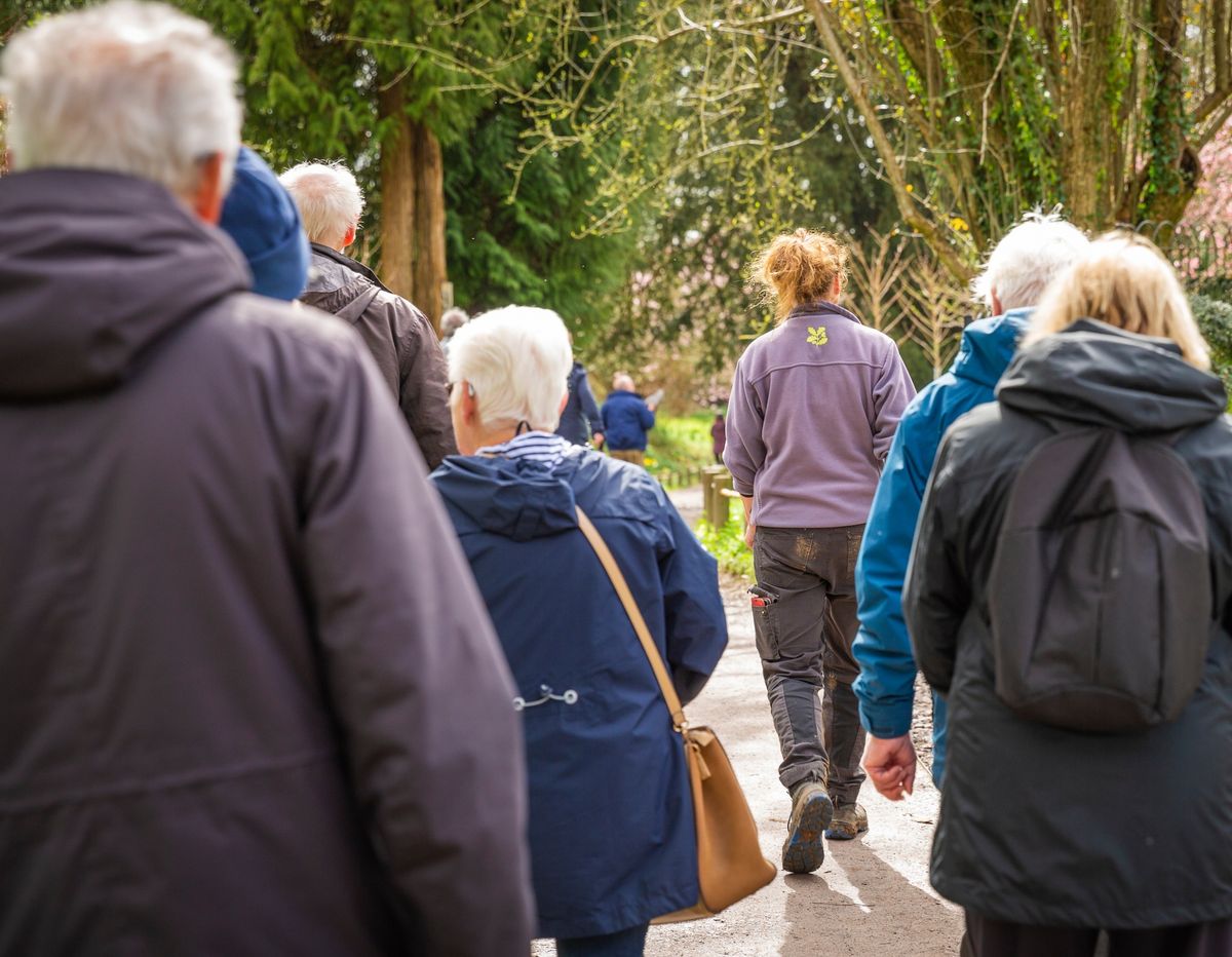 Guided walk: Crook Hall Gardens to the Oriental Museum