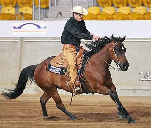 One-on-One Lessons with Matt Charles at Snake Creek Cattle Company