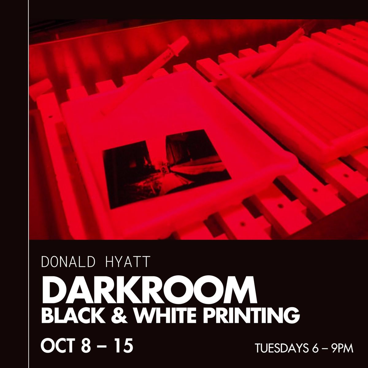 Darkroom: Black and White Printing 