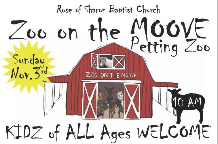 Zoo on the Moove