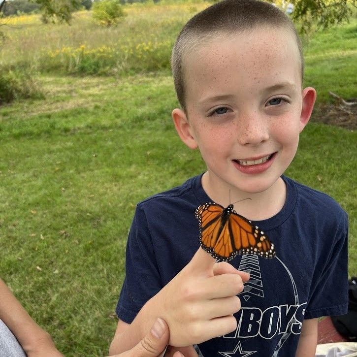 Monarch Tagging