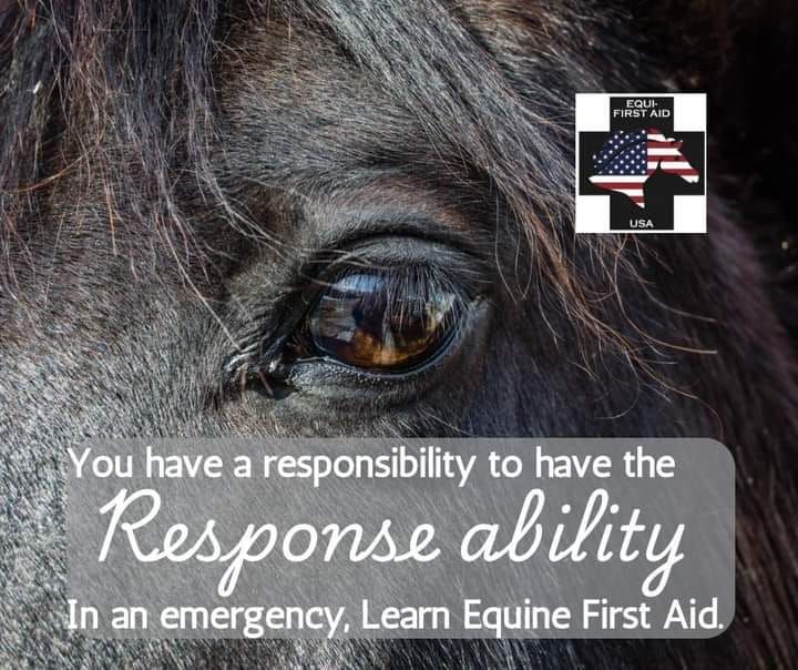 Advanced Equine First Aid- Cumming