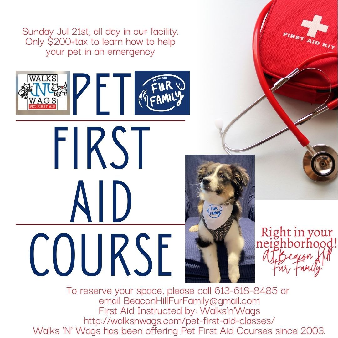 Pet First Aid - With CPR