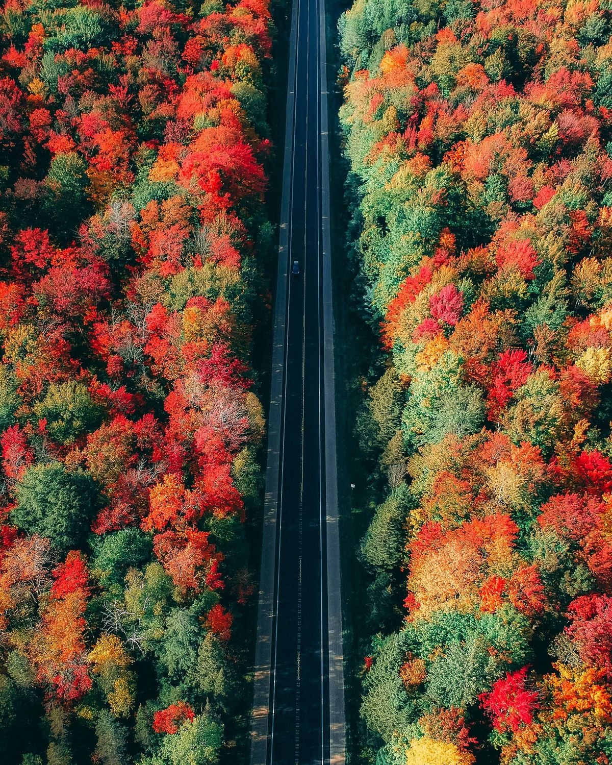 Colors, Colors, and more Colors - Fall Foliage Photography Meetup