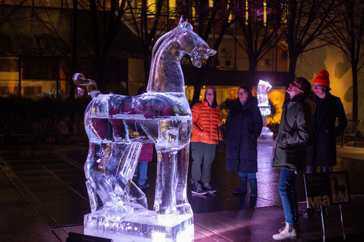 Minneapolis Institute of Ice