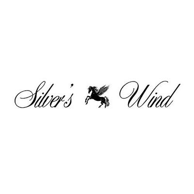 Silver's Wind