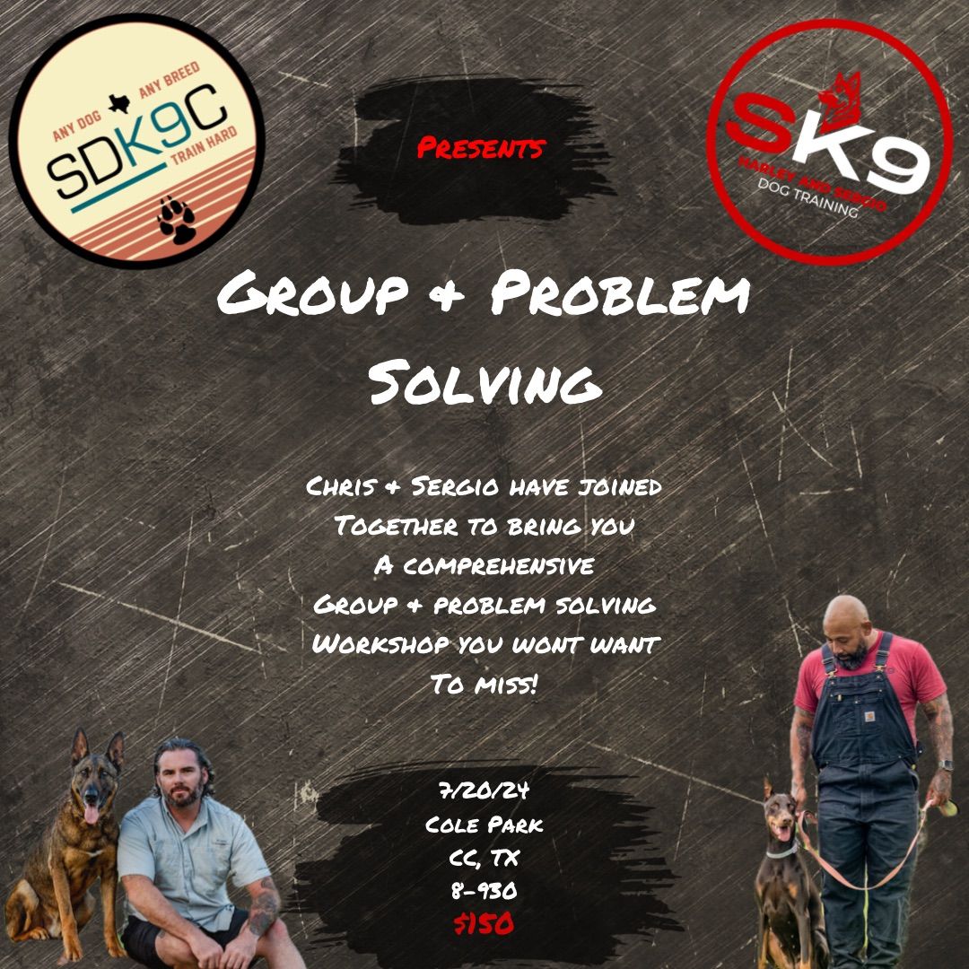 Comprehensive Group & Problem Solving Workshop