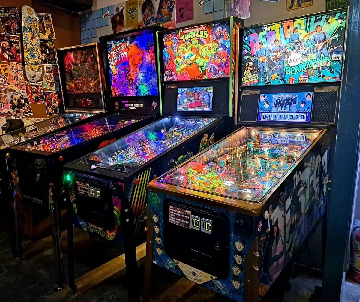 \u83f2\u529b\u9738\u7af6\u6280\u6d3e\u5c0d - \u4e00\u6708 Parklife Pinball Party - January 