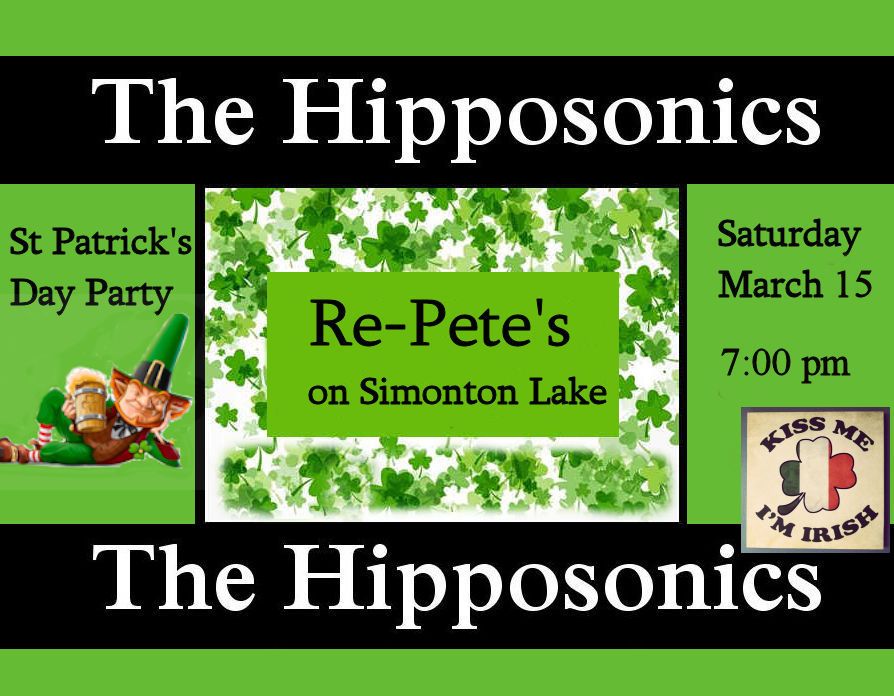 The Hipposonics Celebrate Saint Patrick's Day at Re-Pete's