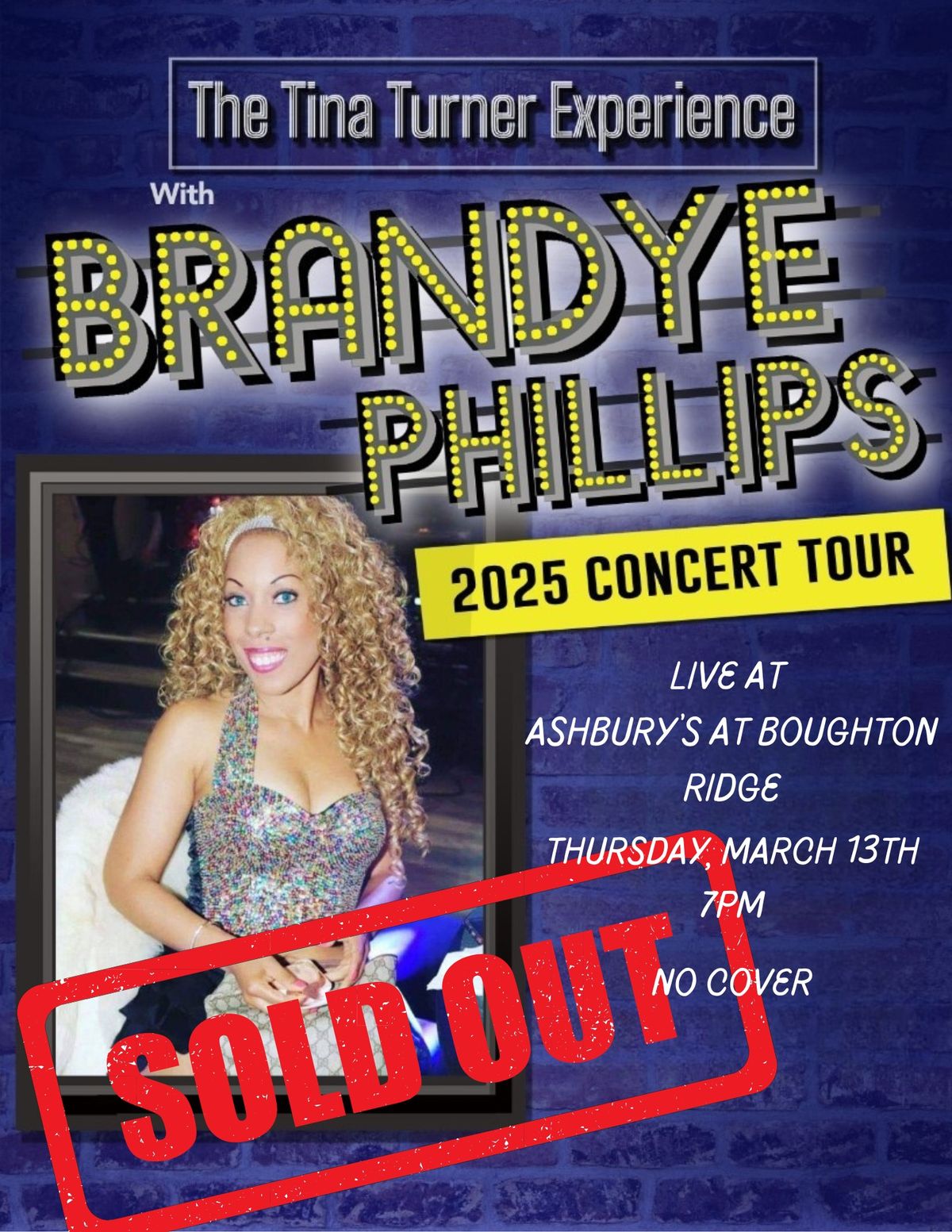 The Tina Turner Experience with Brandye Phillips (Sold Out)