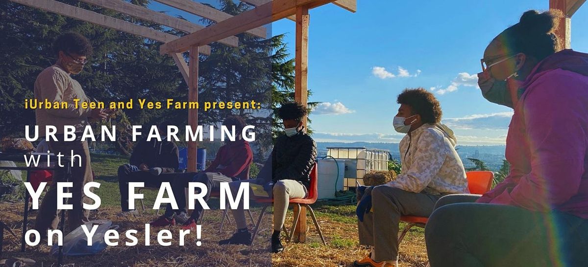 Urban Farming with YES Farm - Get your hands in the soil