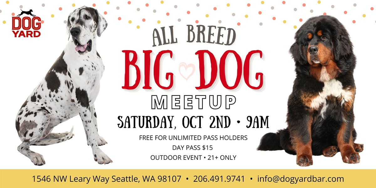 Big Dog Meetup at the Dog Yard for dogs 75 pounds +