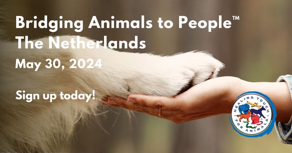 Healing Touch for Animals\u00ae Bridging Animals to People\u2122