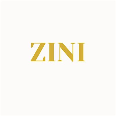 ZINI LLC