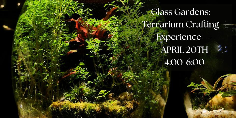 Glass Gardens: Terrarium Crafting Experience