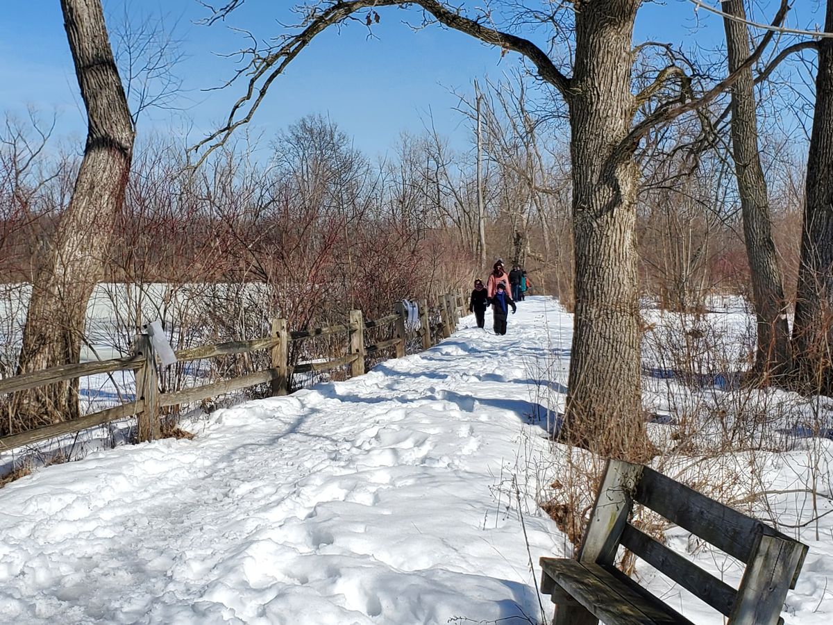 Live Healthy, Discover Nature! Walk @ Sand Ridge Nature Center