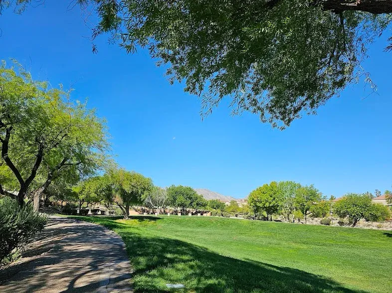 Walk & Talk:\nPets Edition! \ud83d\udc3e