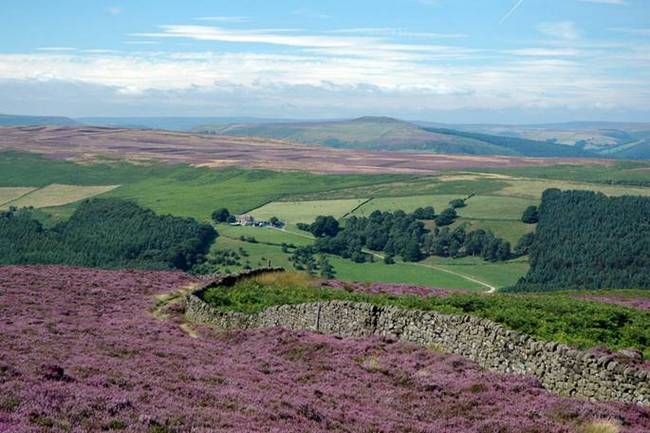 Explore Longstone Moor: History & Landscape - Ranger Guided Walk