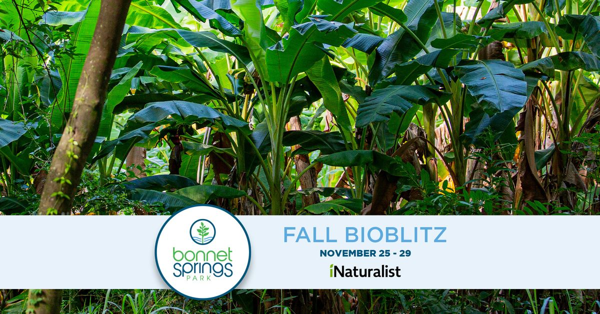 Fall BioBlitz