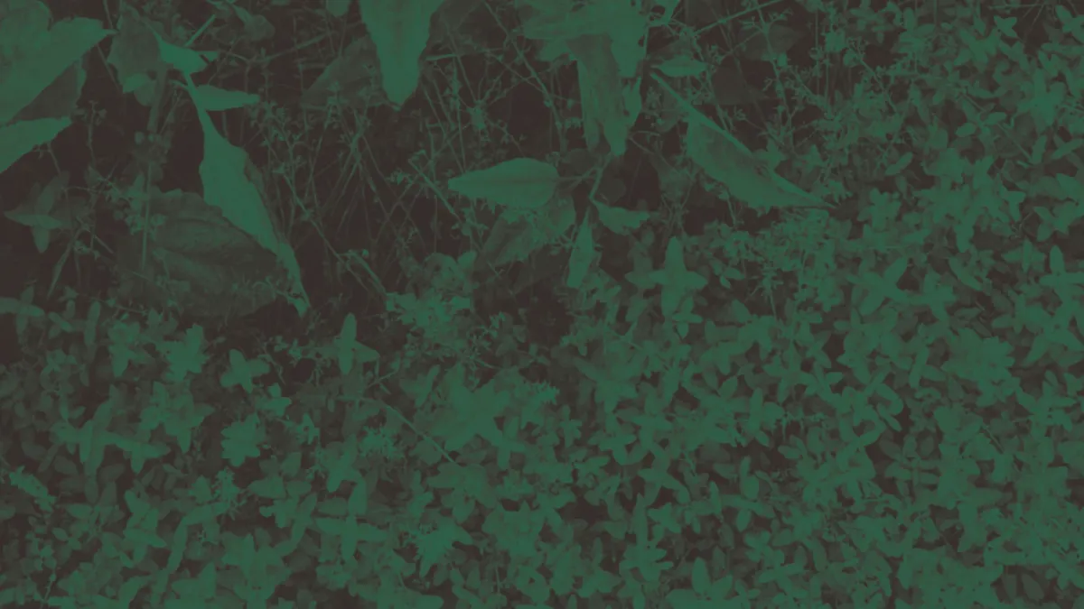 Basia Bulat in Shawinigan