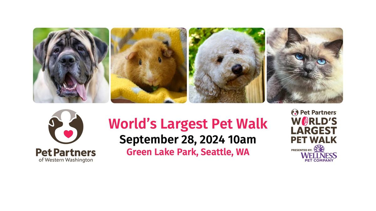 World's Largest Pet Walk Green Lake Seattle