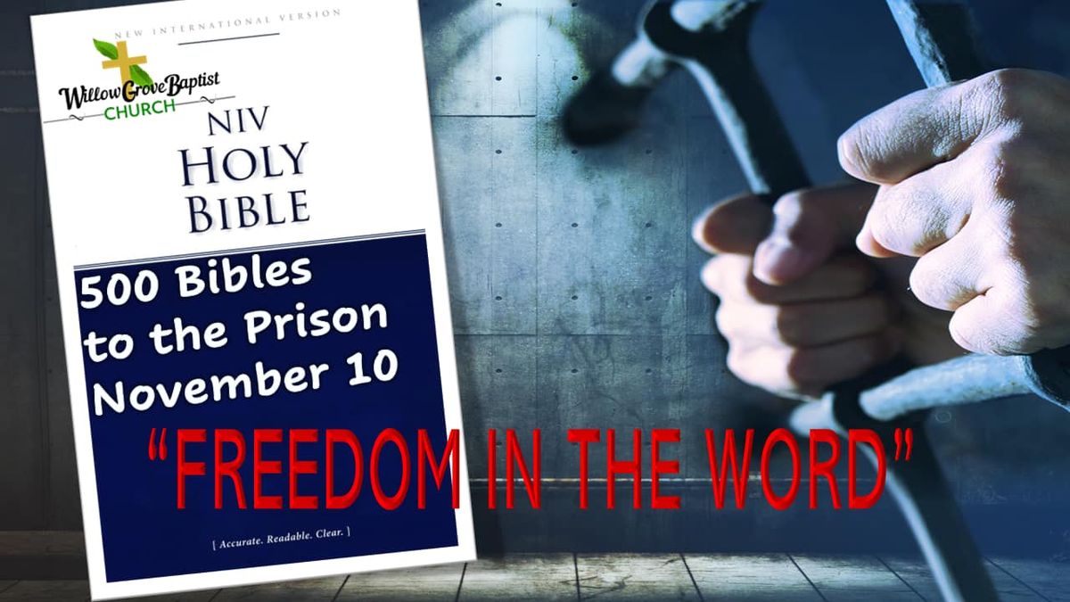 FREEDOM IN THE WORD