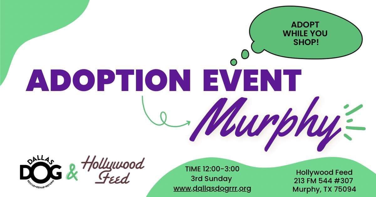 Hollywood Feed Murphy 