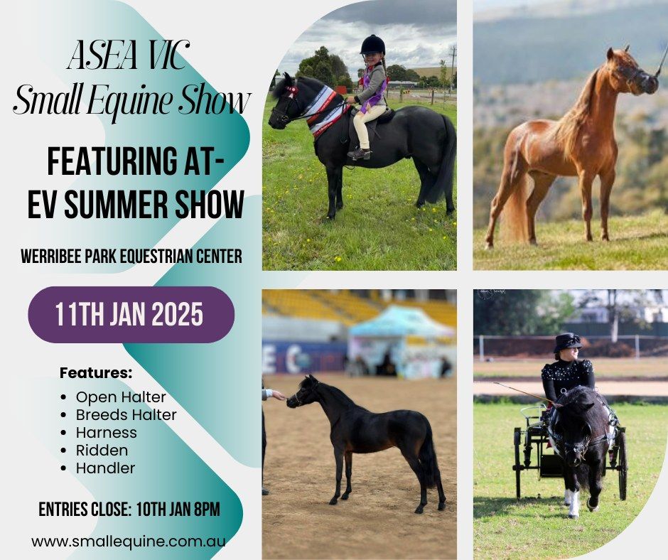 EV Summer Show ASEA Small Equine Ring