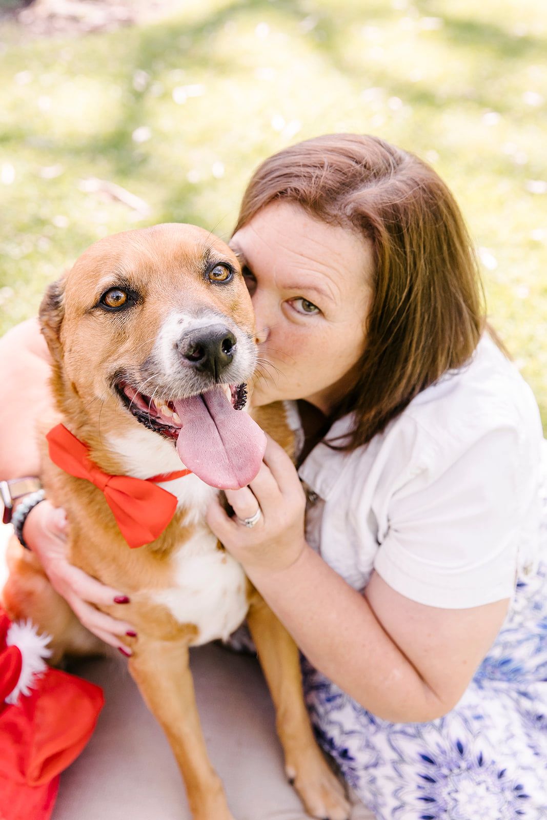 BOOKINGS OPEN - SANTA PAWS PHOTOS 