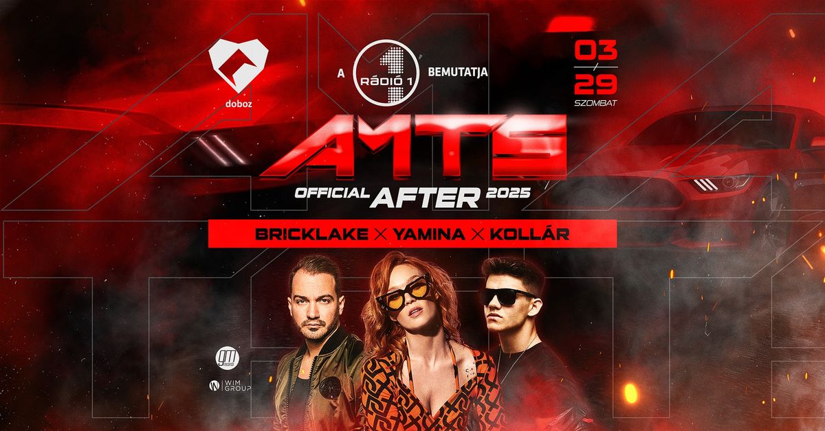 AMTS Official Afterparty 2025 \u203a\u203a DOBOZ, Budapest - 03.29.