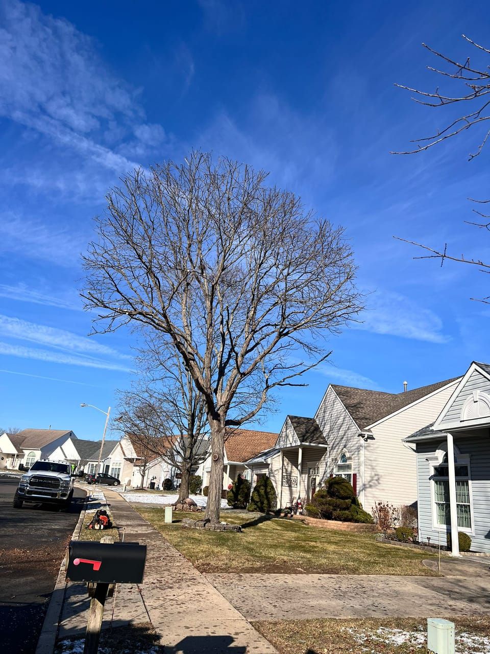 Transforming your landscape with Edd's Tree Service!