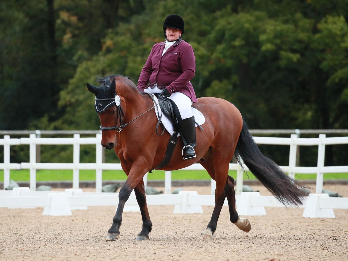 MEMBERS ONLY - Intermediate Dressage Qualifier