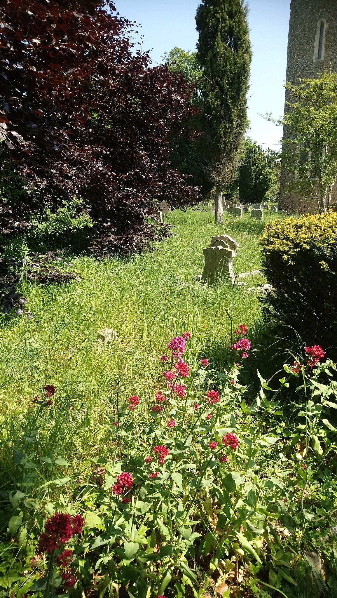 Benefice Service and Blessing of New Facilities