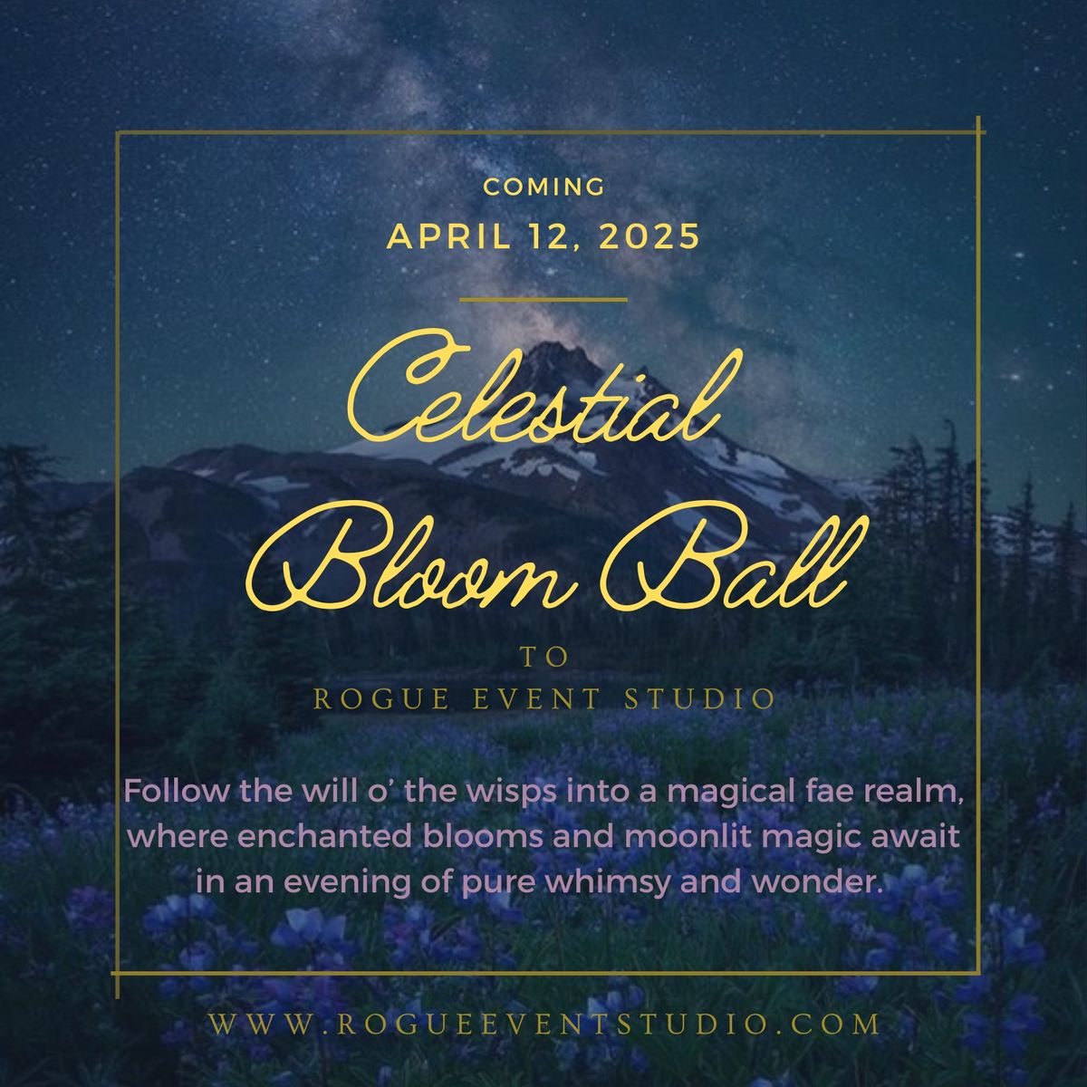 Celestial Bloom Ball Experience