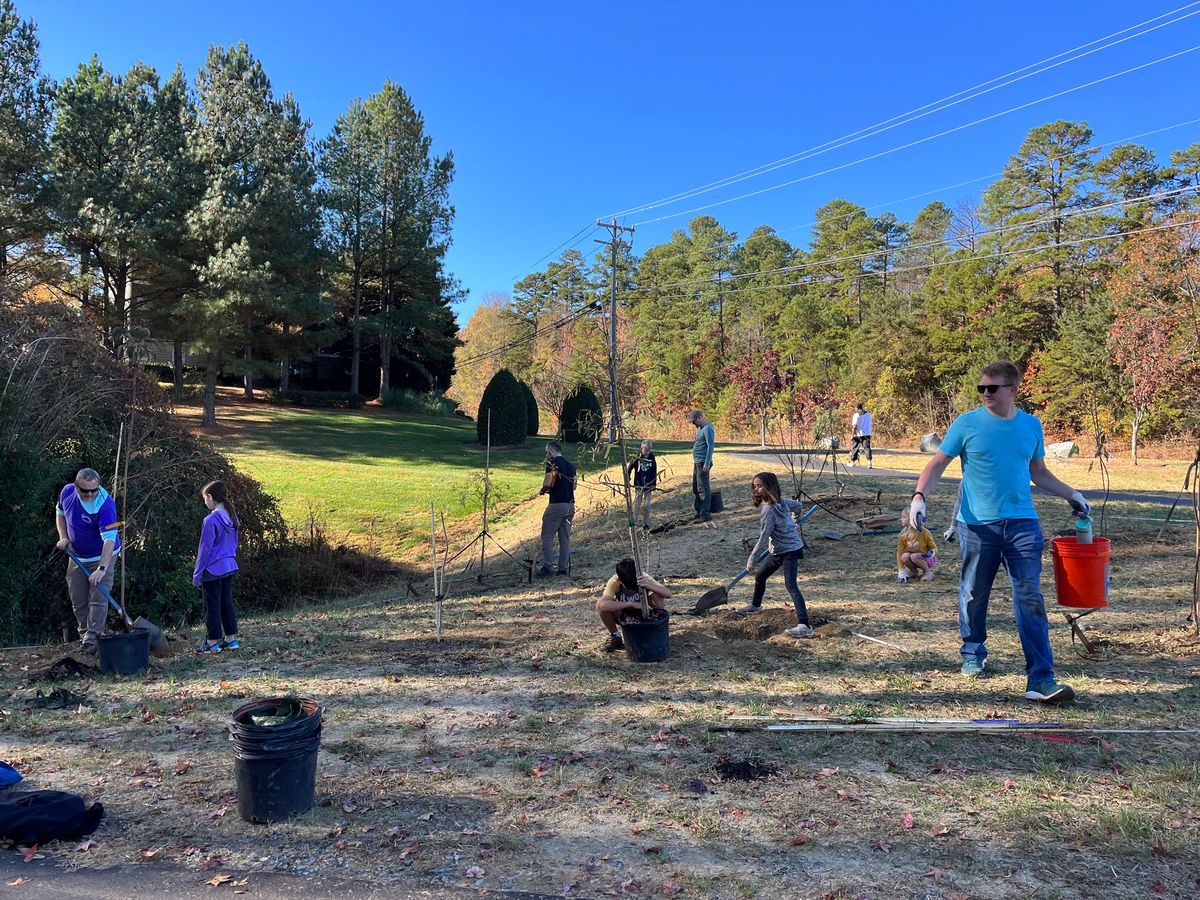 Tree Preparation: Creek ReLeaf 