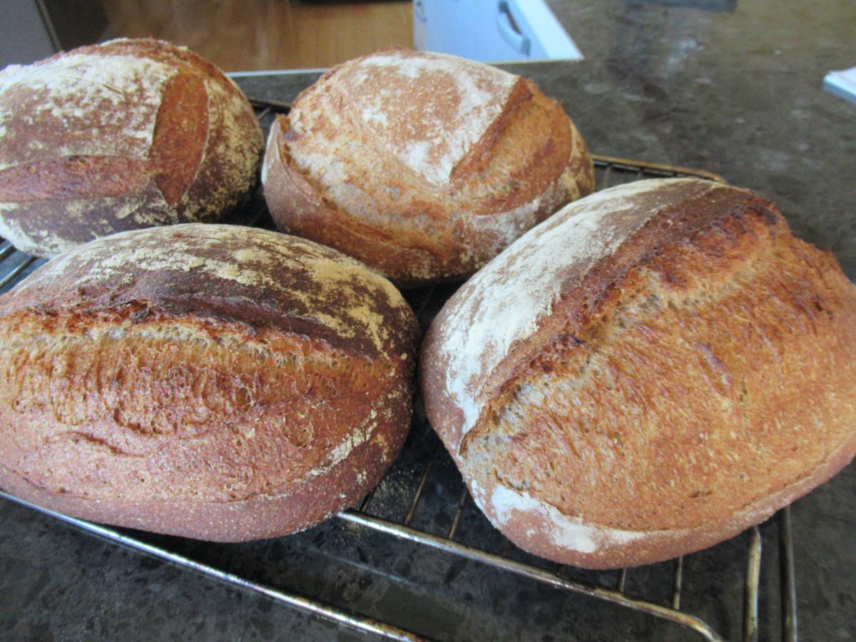 Sourdough Bread Baking Workshop