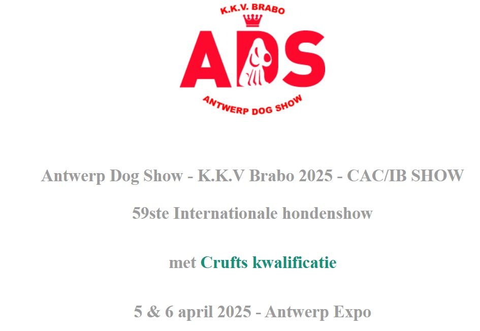 CACIB Antwerp Dog Show, Belgie