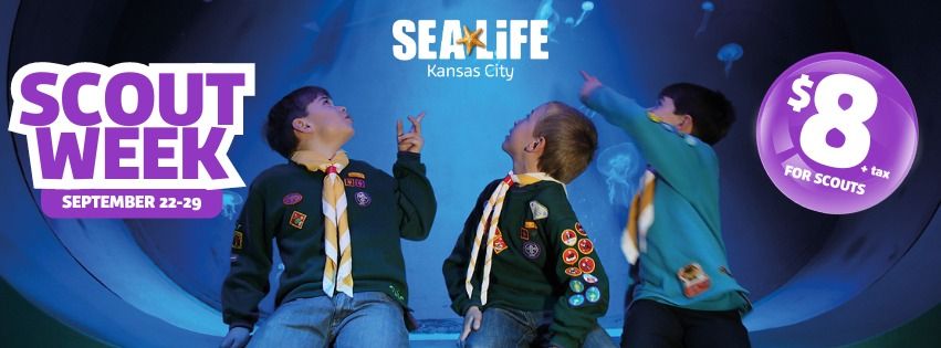 Scout Week @ SEA LIFE Aquarium Kansas City