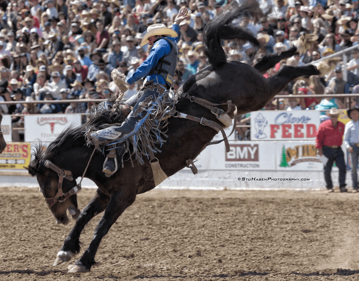 Clovis Rodeo at Clovis Rodeo