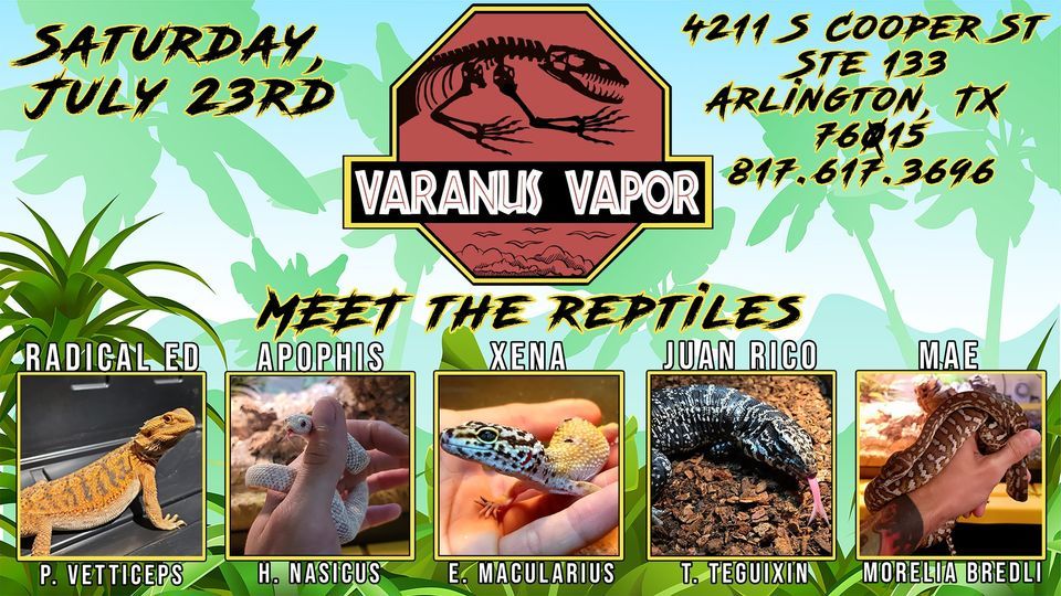 Meet the Reptiles!, Varanus Vapor, Arlington, 23 July 2022