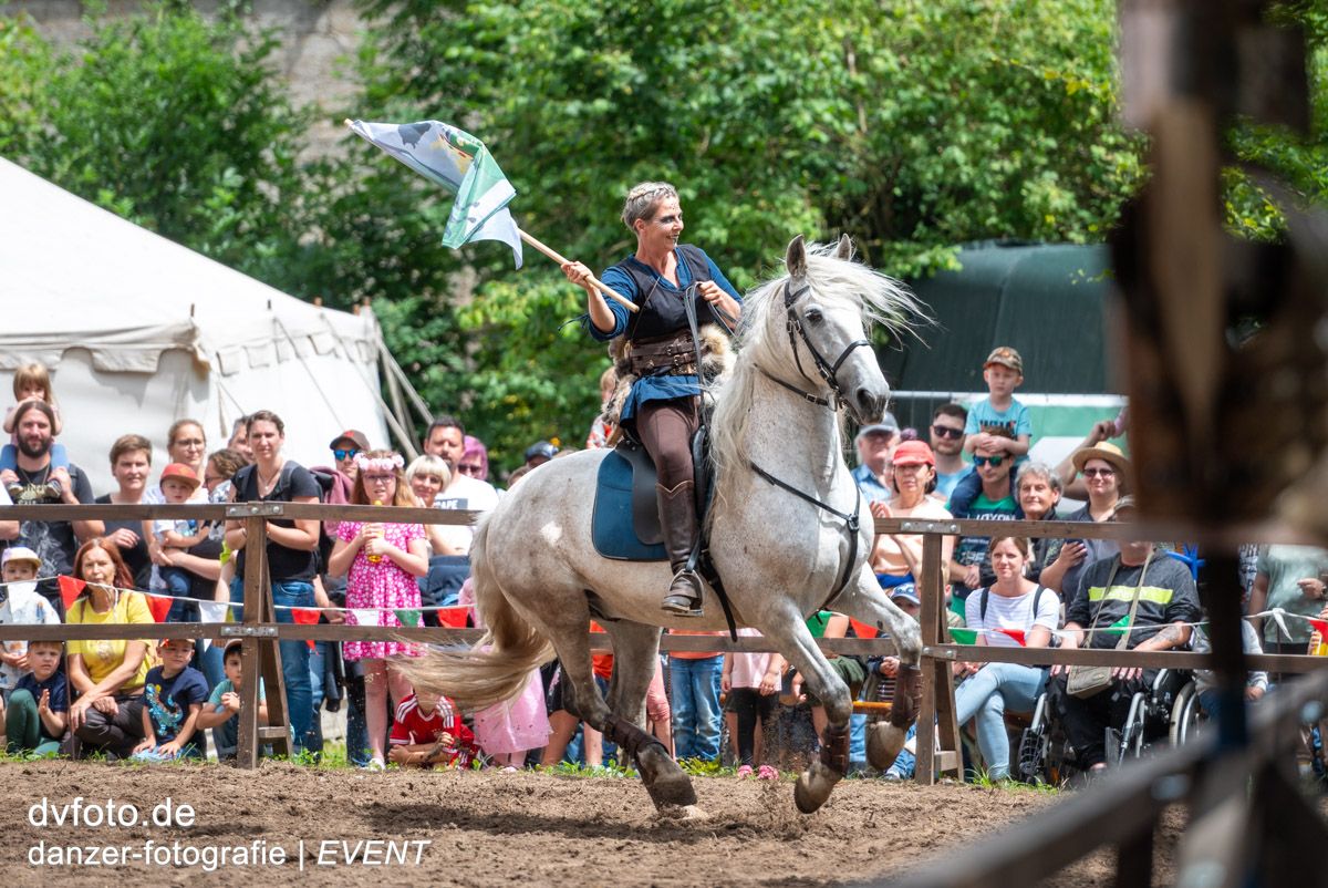 Besser reiten mit Trailhindernissen - Working Equitation