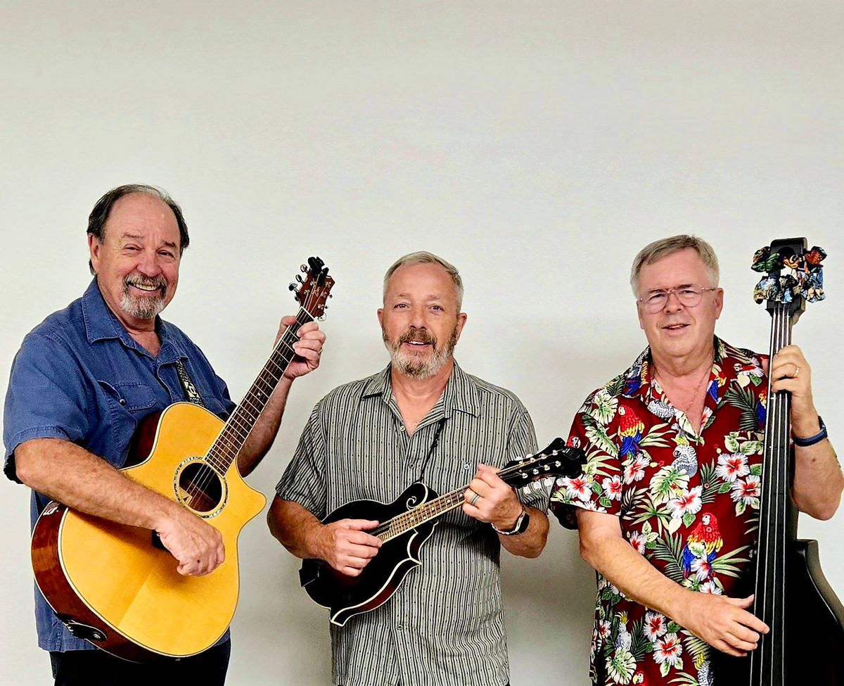 Sudden Strangers at Glendale Folk and Heritage Festival